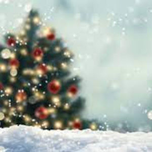 Meet your Posher, Skylar